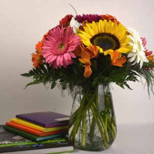 Girasoles Archivos | 7goflor